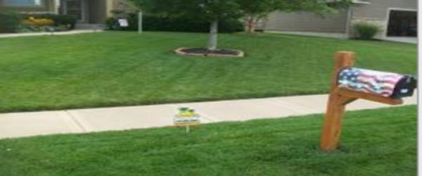 Oasis Lawn Care