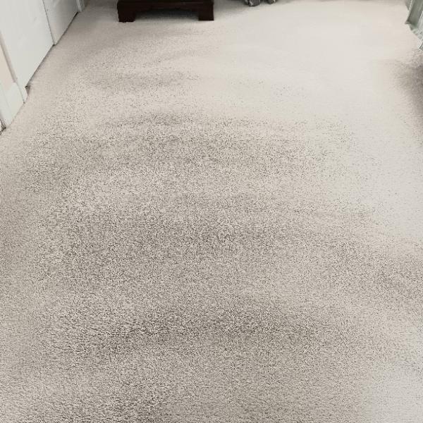 Allstatecleaning.com -Green Organic Carpet Cleaning