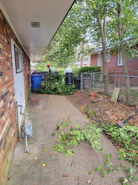 Carden's Tree Services