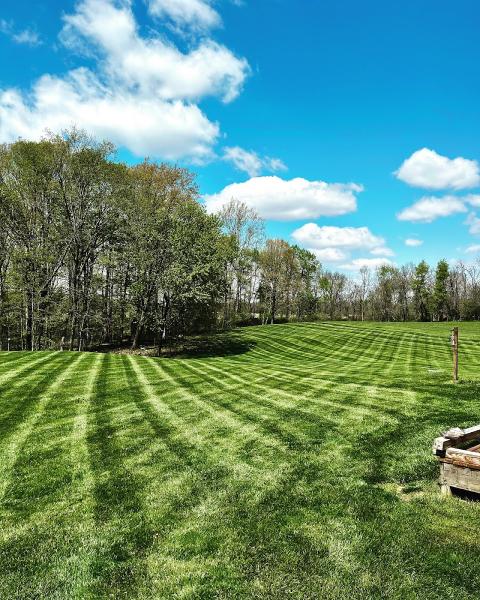 Chew's Lawn Restoration