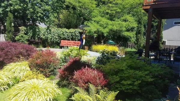 Apex Landscape Solutions