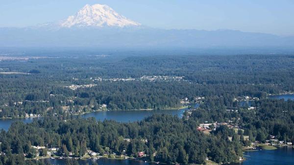Washington Pest Services & Consultants
