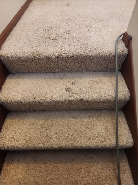 AJ Steam Cleaning