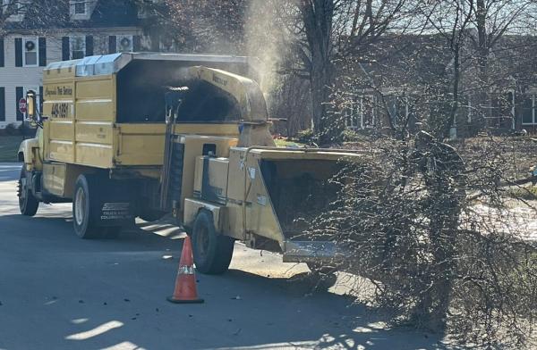 Claycomb's Tree Service
