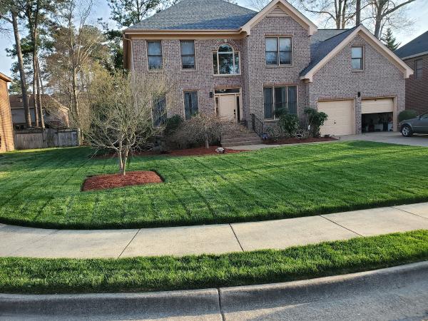 CFE Green Landscaping and Lawns LLC