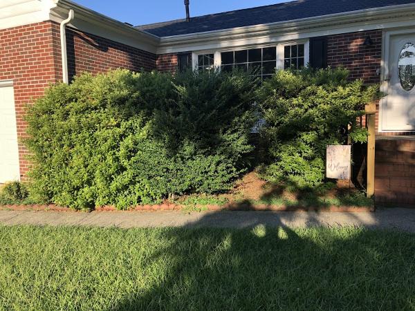 CFE Green Landscaping and Lawns LLC