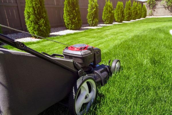High Maintenance Home & Lawn Care Services