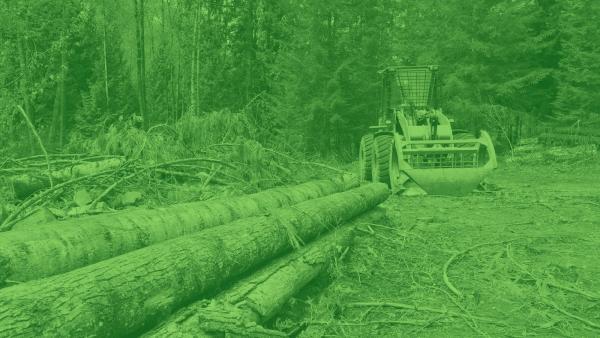 Frank's Land Restoration