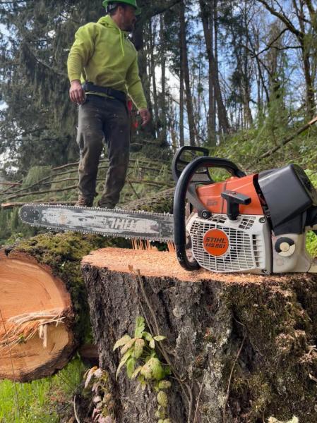 Rooted Tree Service