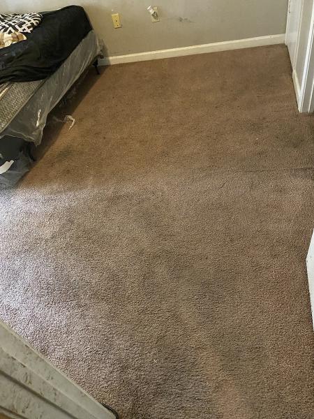 Clean Floors Carpet Cleaning