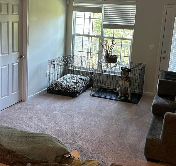 Clean Floors Carpet Cleaning