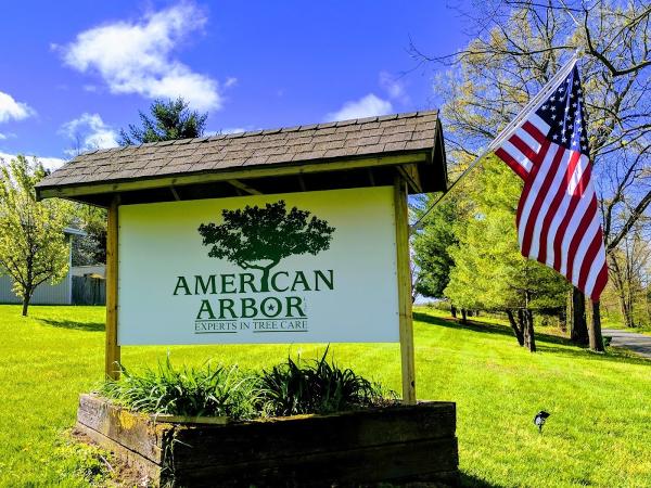 American Arbor
