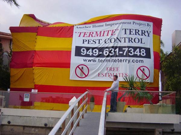 Termite Terry Pest Control