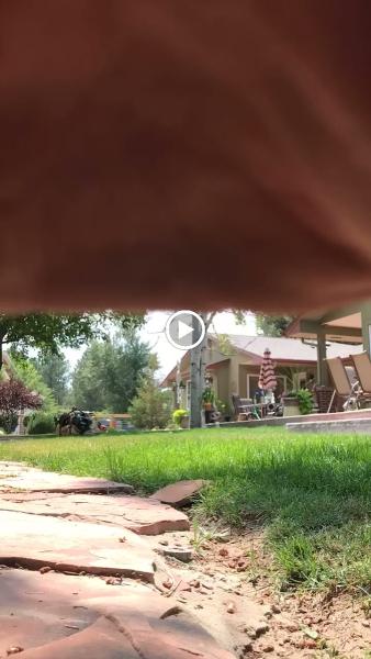 Eden Tree Care