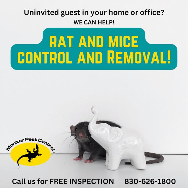 Monitor Pest Control