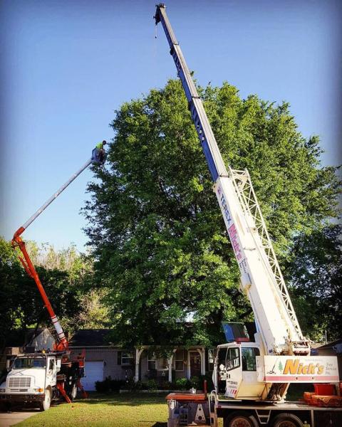 Nick's Tree Service