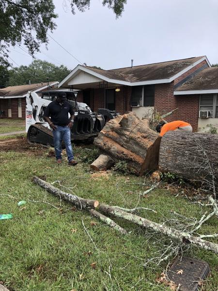 Indigo Professional Tree Service