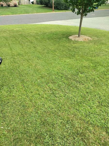 Supagreen Lawn Care Llc