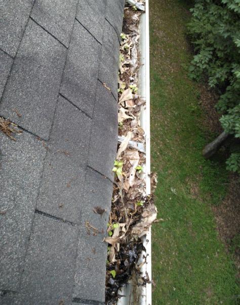 Gutter Cleaning