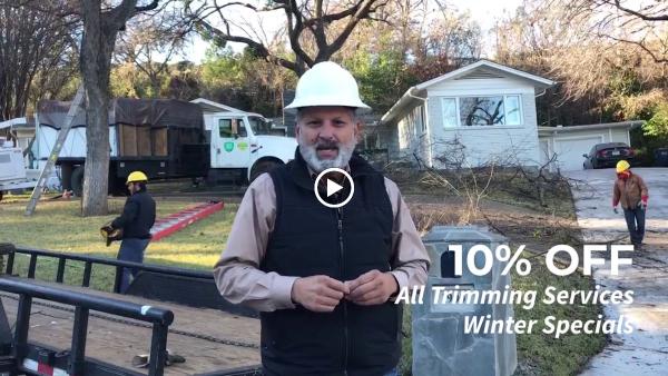 Arborist USA
