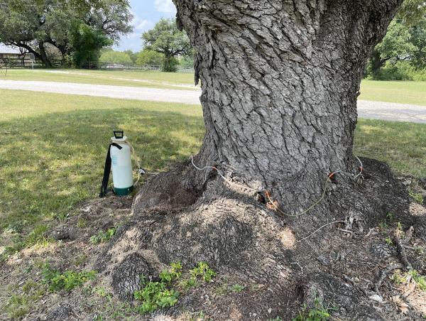 Arborist USA
