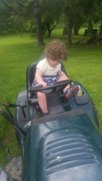 Farr's Tree Service Inc