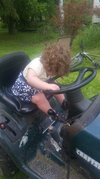 Farr's Tree Service Inc