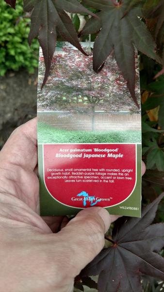 Arnold's Landscaping and Garden Center