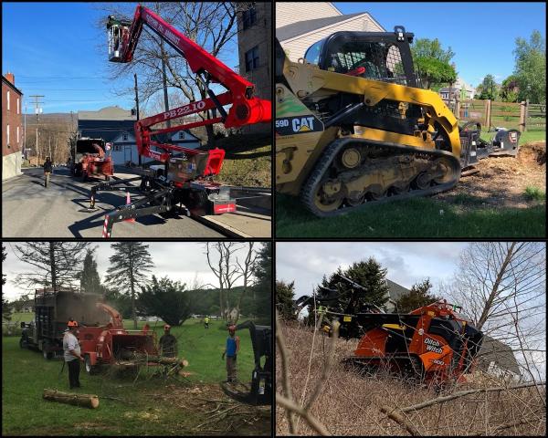 Absolute Landscape Management Inc