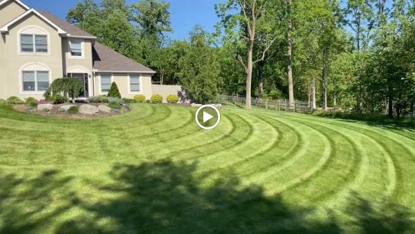 Absolute Landscape Management Inc