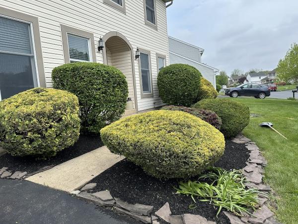 Absolute Landscape Management Inc