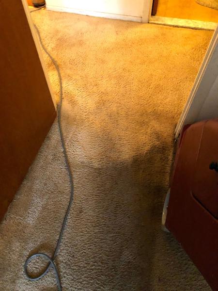 Classic Carpet Cleaners