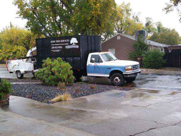 Jesse Tree Service