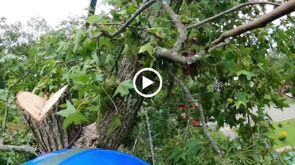 Nunnally's Tree Service