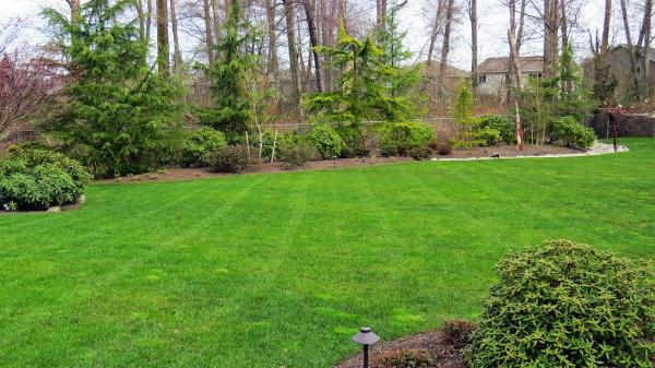 Scott's Cutting Edge Lawn Care