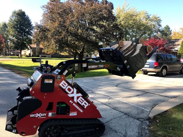 D Arbor Professionals
