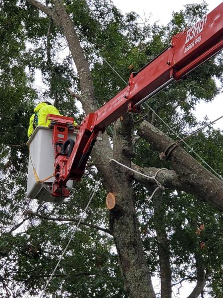Allscapes Tree Service Inc.