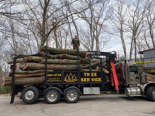 Allscapes Tree Service Inc.