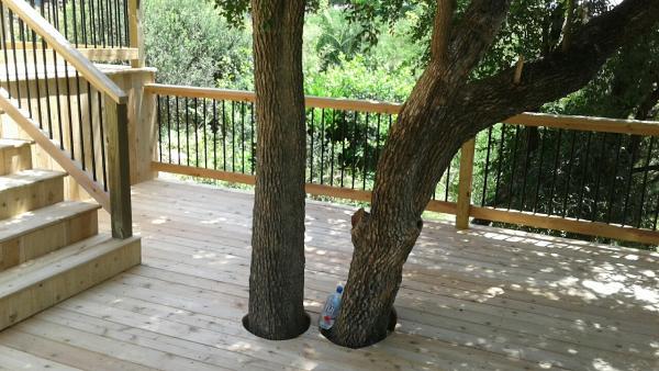 Deck the House