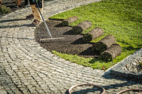 Eagle Lawn Care Services