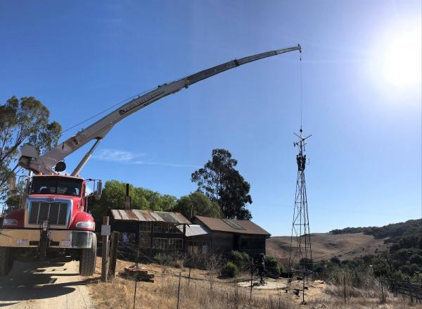 Lewis Tree Service