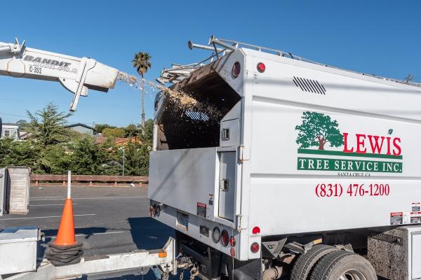 Lewis Tree Service