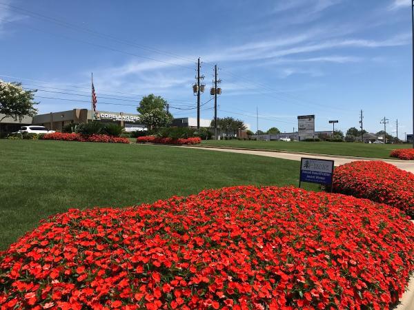Oasis Lawn Care Service