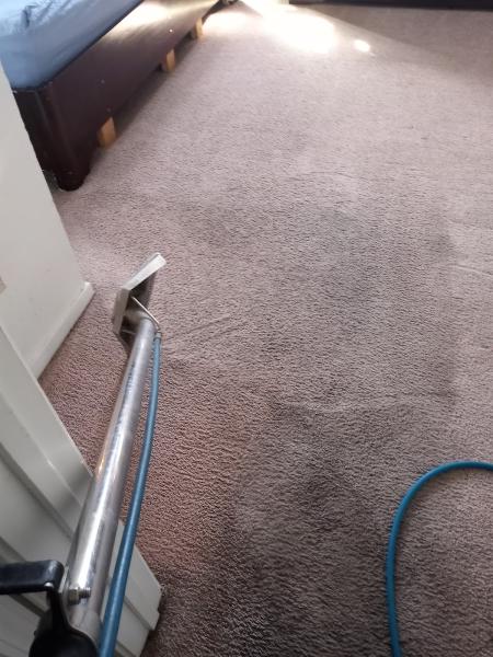 All Bay Area Cleaning