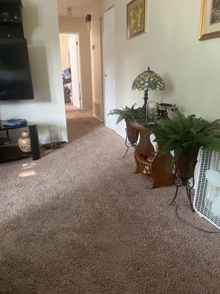 All-Timate Cleaning Pros