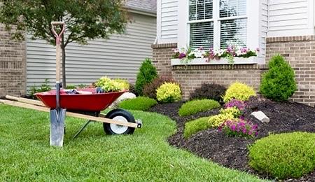 Tenleytown Lawn & Landscape