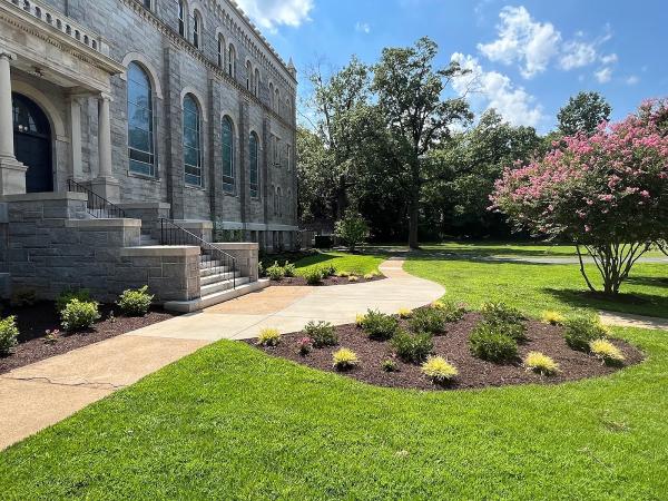 Tenleytown Lawn & Landscape