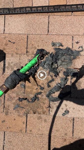 Drain Titan LLC
