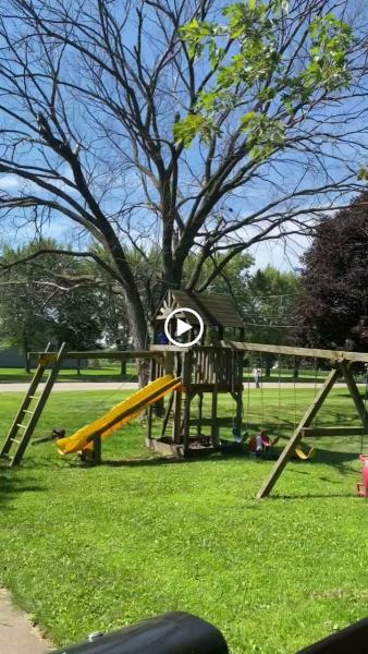 Canopy Cops Tree Service LLC