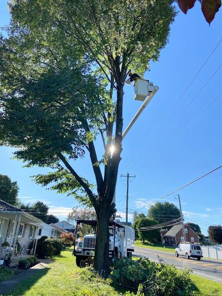 Nemeth Landscape LLC